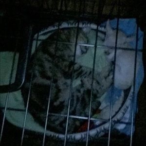 Meet your Posher, Joshua